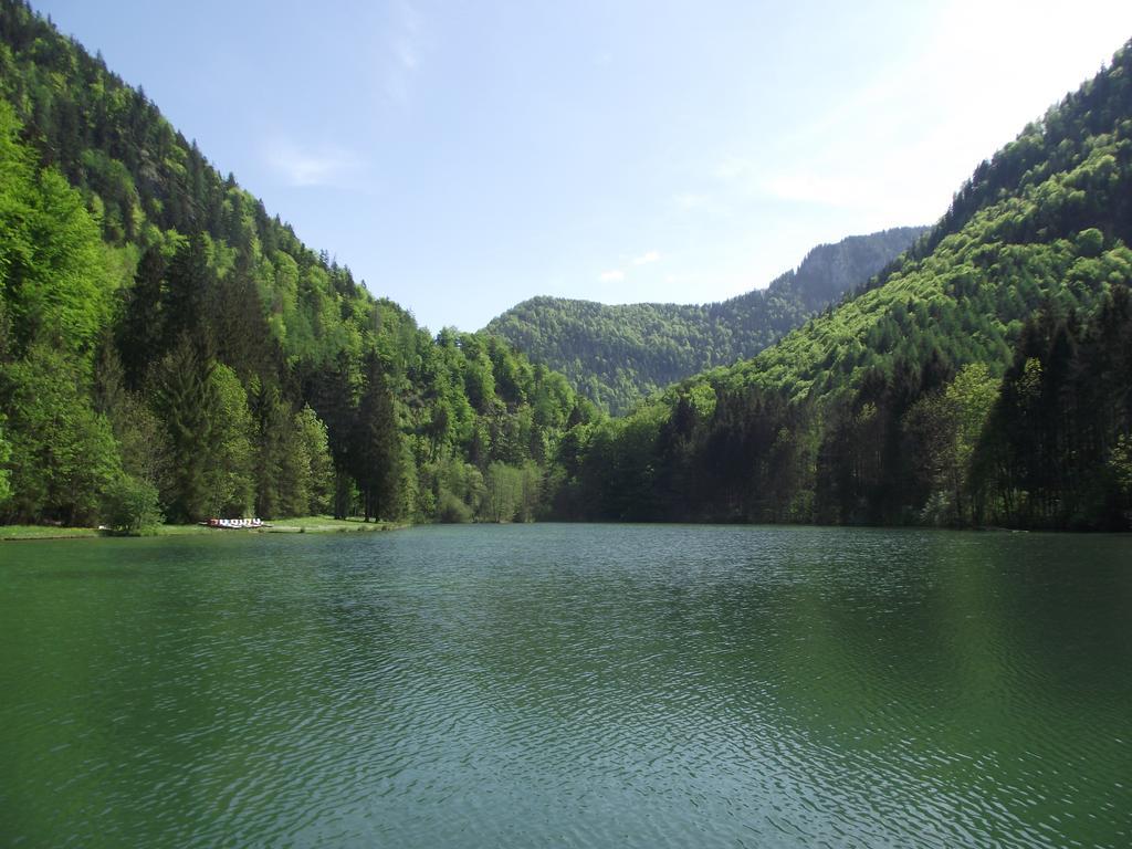 Ferienwohnung Am Roemerweg Wald Inzell Kültér fotó