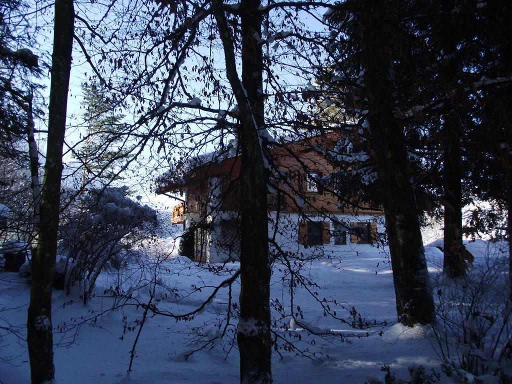 Ferienwohnung Am Roemerweg Wald Inzell Kültér fotó